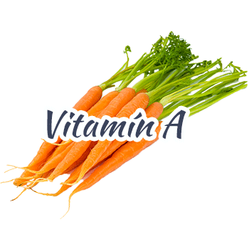 mrkva-vitamina